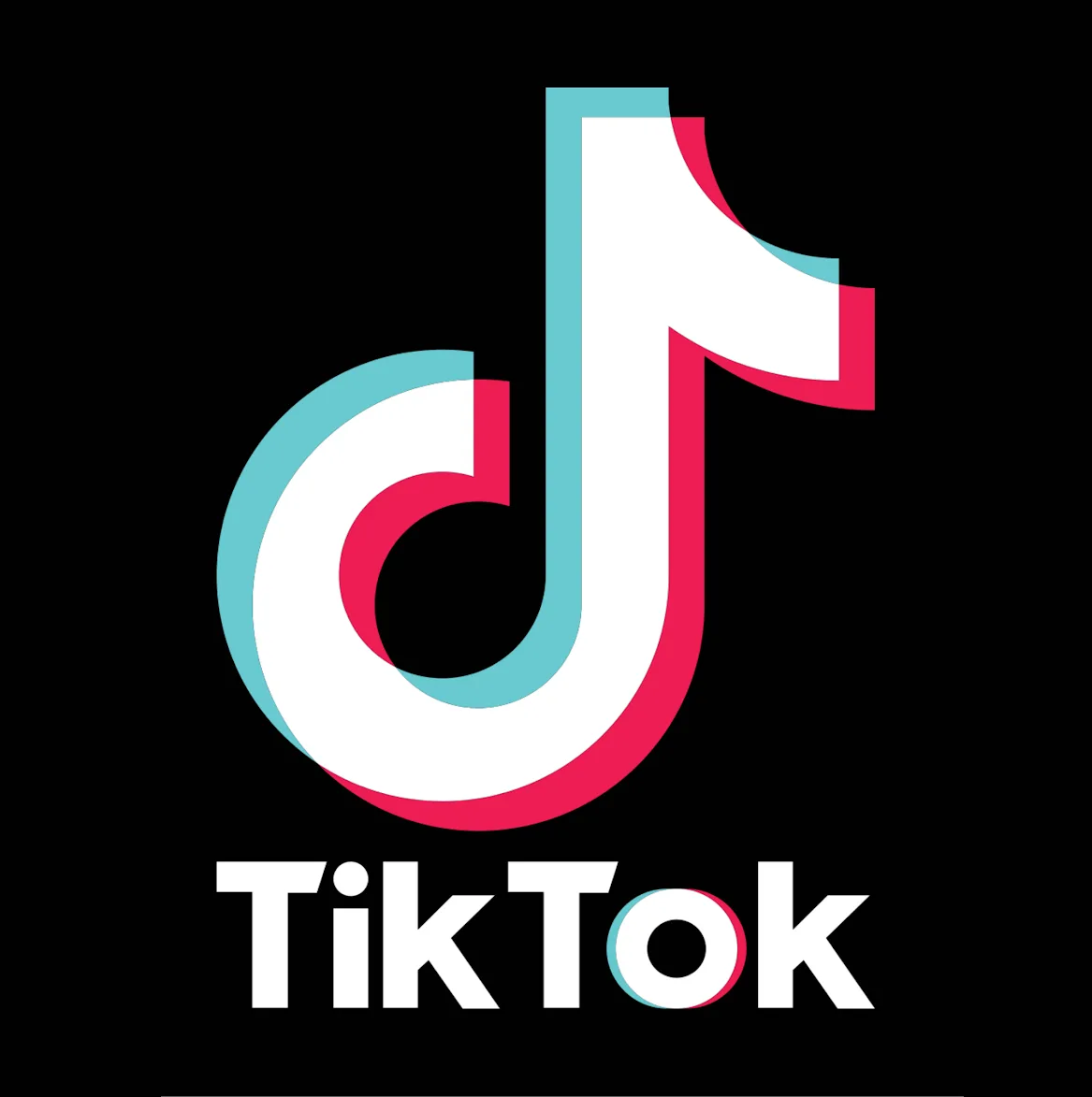 Viktoria Paltar Boyaları – TikTok kanalımıza abunə olun